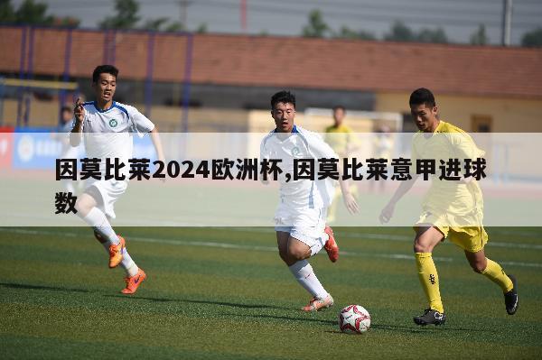 因莫比莱2024欧洲杯,因莫比莱意甲进球数